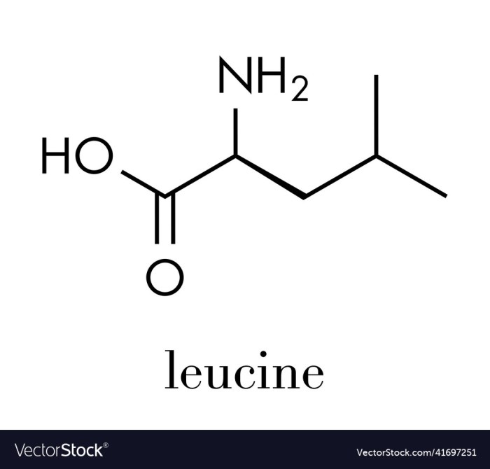 Leucine Uses Benefits Side Effects Dosage A Deep Dive