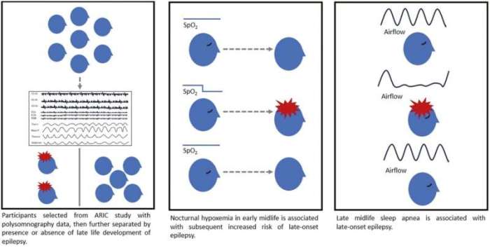 The Importance of Oxygen Saturation, Desaturation When Assessing ... Sleep apnea and oxygen desaturation