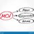 Mean Corpuscular Volume Overview RBC Insights