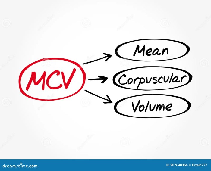 Mean Corpuscular Volume Overview RBC Insights