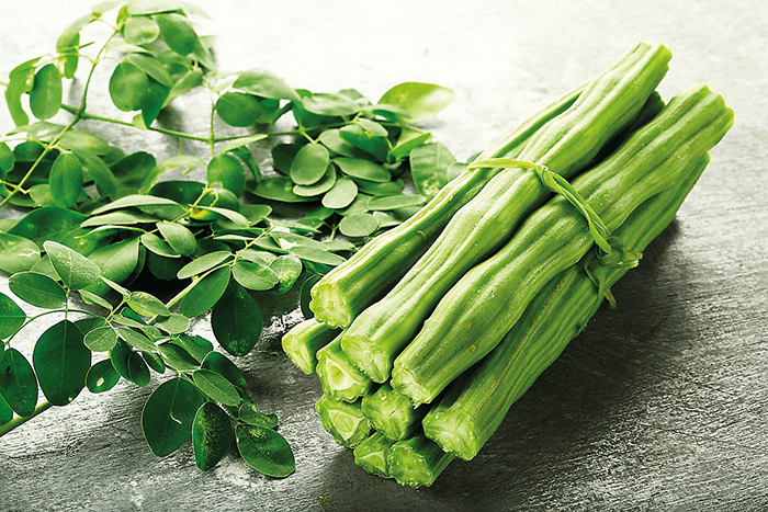 Moringa oleifera - Alchetron, The Free Social Encyclopedia The uses and benefits of moringa