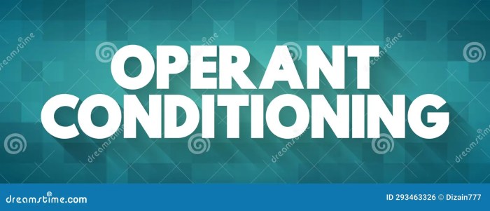 Operant Conditioning to Change Behaviors A Deep Dive