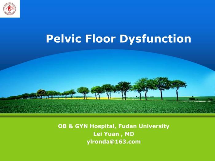 Pelvic floor physical therapy