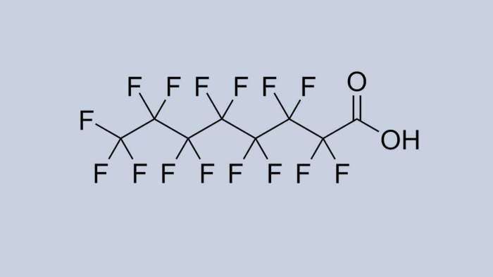 PFAS Exposure Fatty Liver Disease Risk