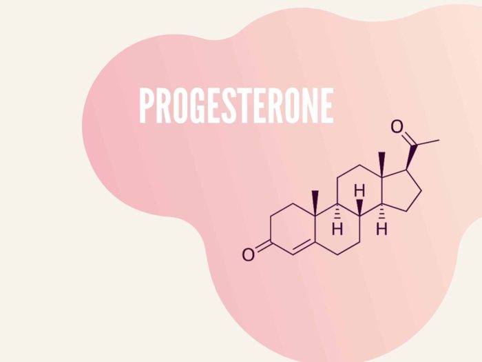 Progesterone and brain health