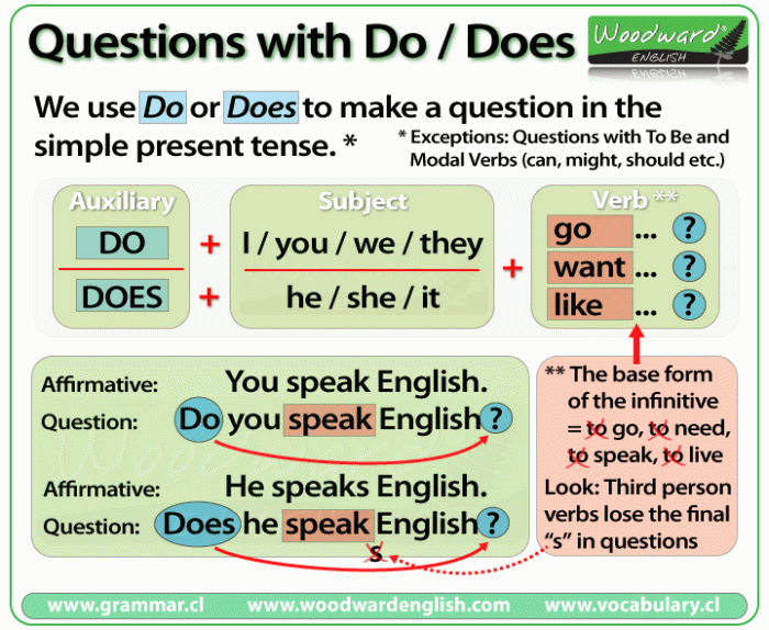 Do vs Does Questions in the Present Simple Tense | Learn English ... When is the brain fully developed