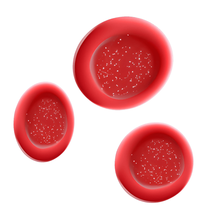 Red blood cell 21357762 PNG Blood thinners before during and after surgery