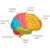 Brain Fog with Rheumatoid Arthritis Understanding the Connection