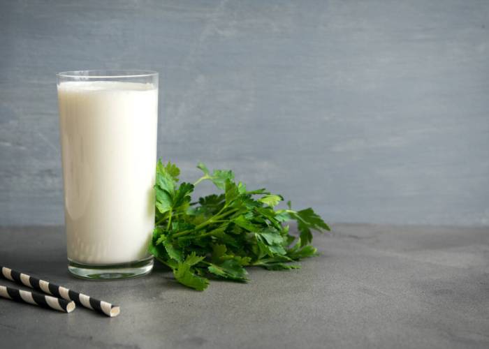 How Much Protein for Breakfast Your Daily Guide