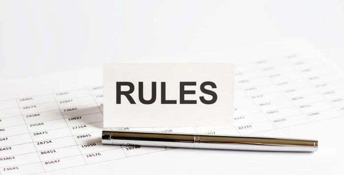 Boomi Business Rule Shape - White Glove Consulting Group, LLC Rule wipes medical debt credit score
