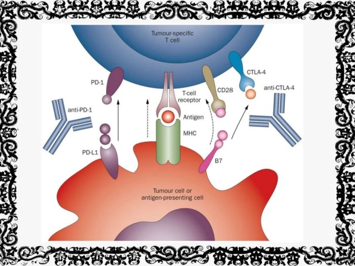 Different types of immunotherapy for lung cancer treatment Immunotherapy for lung cancer