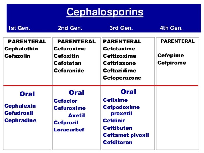 Cephalosporins and penicillin allergy