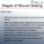 Stages of Wound Healing A Comprehensive Guide