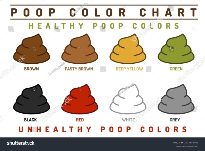 Poop Color Chart Human Stool Healthy Stock Vector (Royalty Free) 2423344363 | Shutterstock Healthy and unhealthy stool