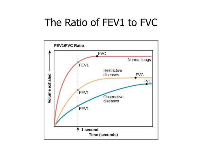 PPT - Respiratory System PowerPoint Presentation, free download - ID:424845 Fev1fvc ratio of fev1 to fvc spirometry