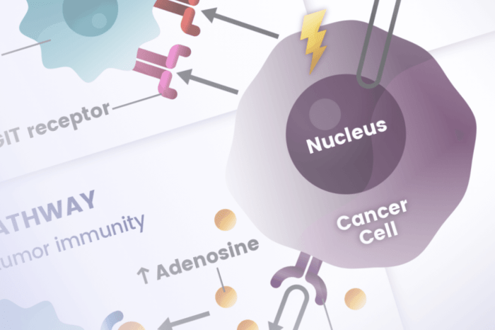 What is Combination Chemotherapy? A Deep Dive