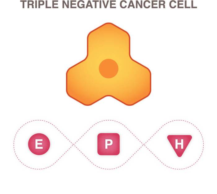 Triple Negative Breast Cancer - National Breast Cancer Foundation Triple negative breast cancer causes
