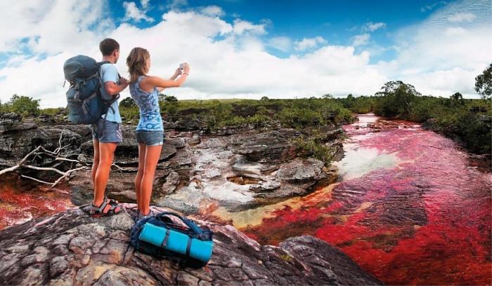 Colombia Tourism Figures 2024 - Perspectives 2025 - Medellin Advisors Multiple sclerosis natural treatments