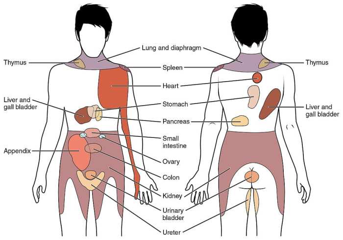 Types of surgery pain