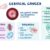 Is Cervical Cancer Curable? A Deep Dive