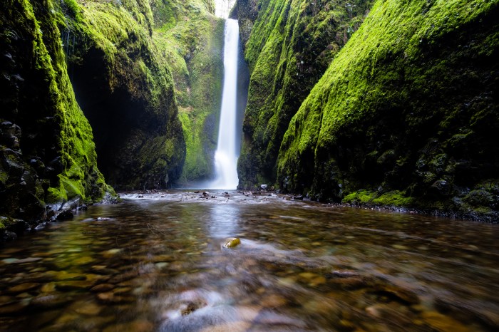 Nature » Vacances - Guide Voyage Natural treatment for pancreatitis pain