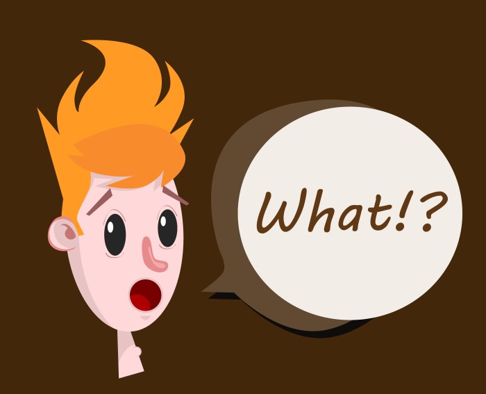 Act Dumb – Get Your Class Engaged – Success in the Classroom What s new in mash