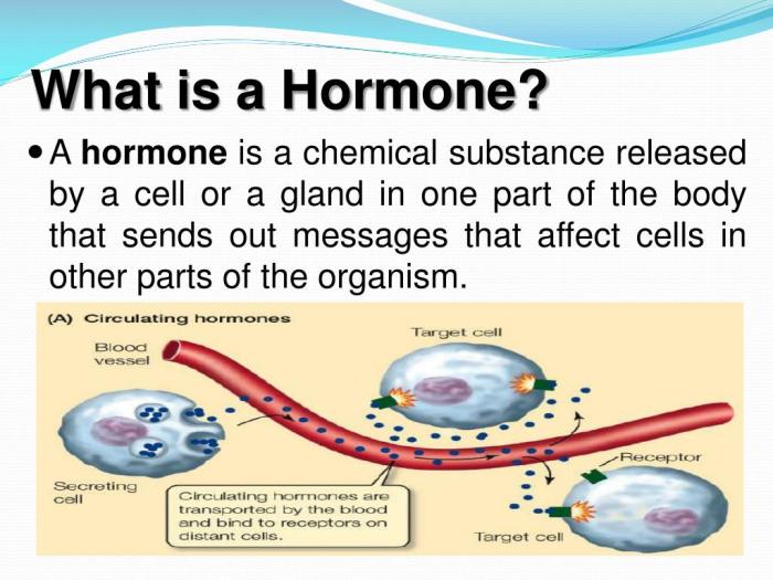 Hormones and Gastrointestinal Problems A Deep Dive