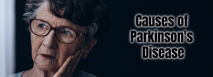 Parkinson39s Disease A Chronic Disorder Affecting the Motor System ... Facts about parkinsons disease