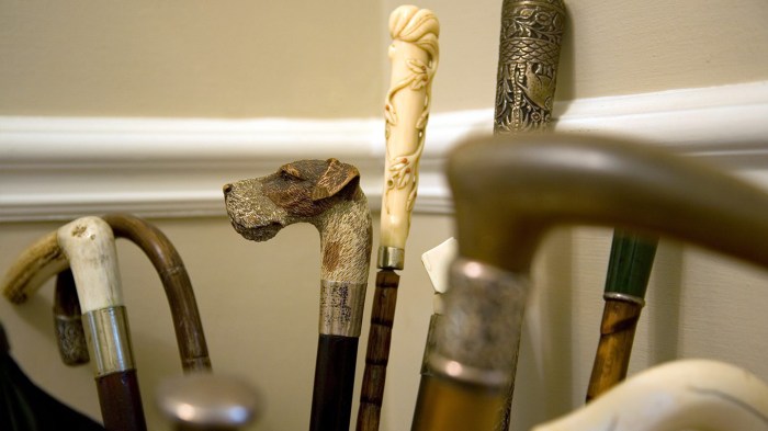 Cane for multiple sclerosis