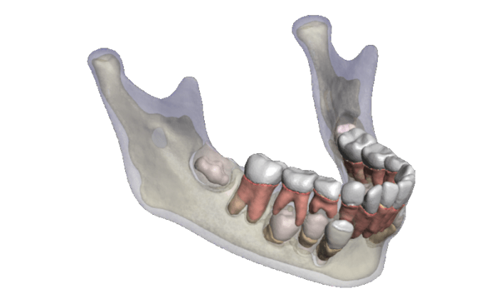 Biting and chewing gets you teeth Incisors definition of incisors