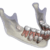 Incisors Definition of Incisors A Deep Dive