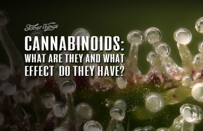 Understanding cannabinoids and what they do