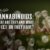 Understanding Cannabinoids and What They Do