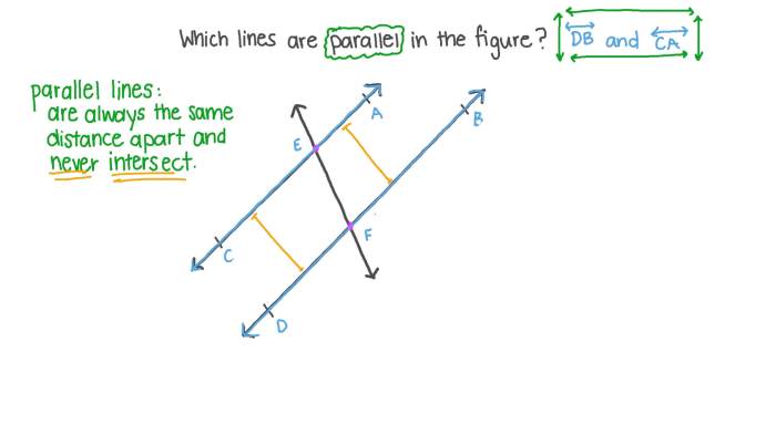 Types of Angles on Parallel Lines - YouTube Parallel bars in physical therapy