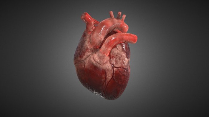 Heart failure medications types and available options