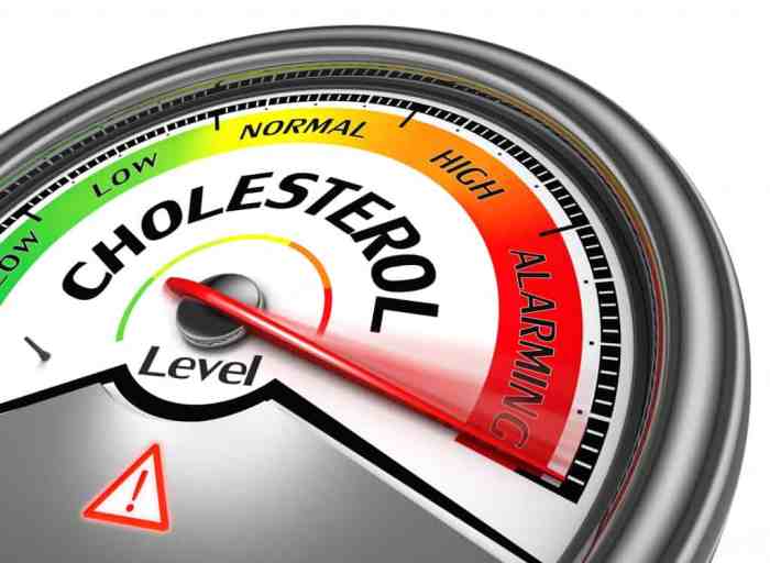 Cholesterol drug helps remove pfas study
