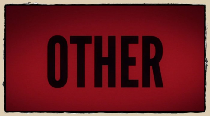 Other trisomies in humans