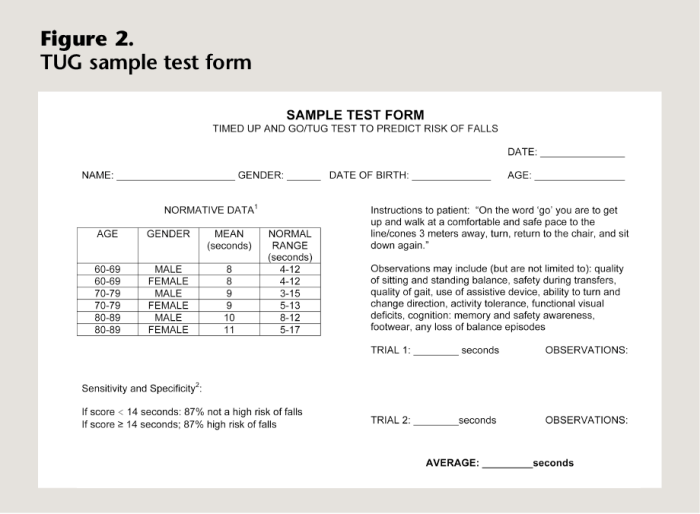 The timed up and go test