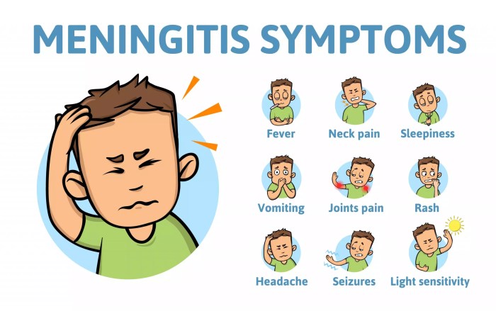 Meningitis Fact Sheet Symptoms Causes Treatments Nerv - vrogue.co Cause of hearing loss meningitis