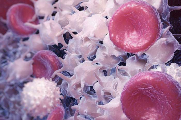 What are platelet function disorders