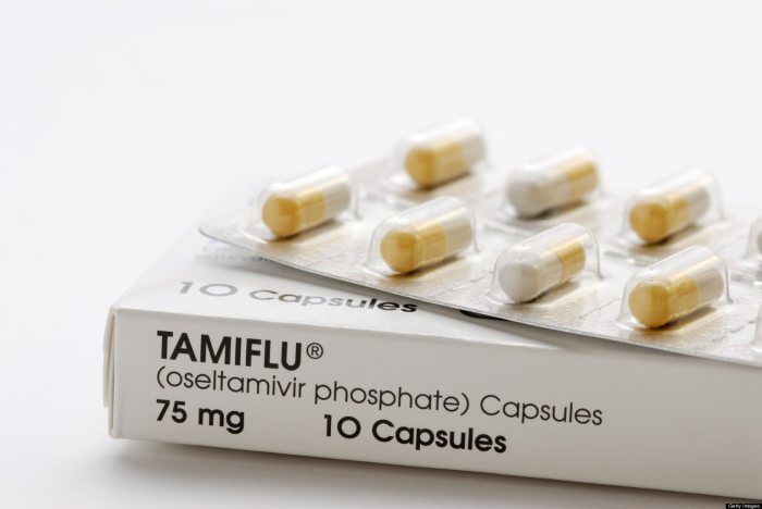 How tamiflu works to treat the flu